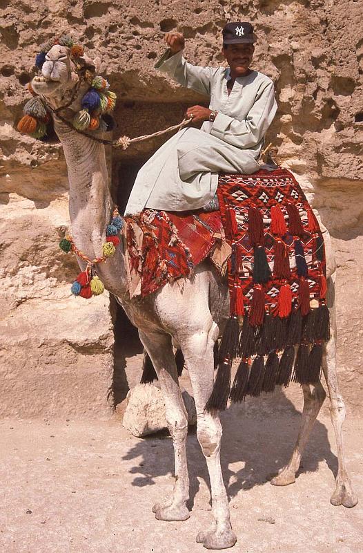 WT 1600 229-26 Egypt.jpg